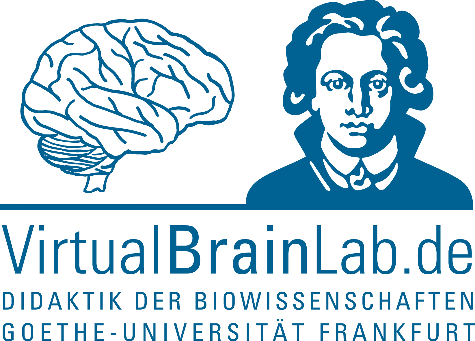 Logo VirtualBrainLab
